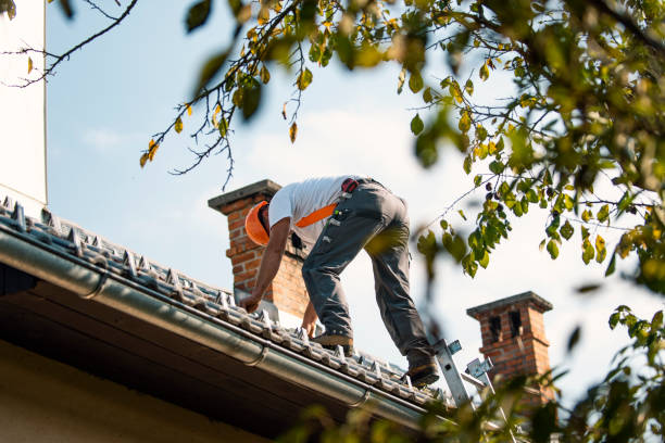 Best Metal Roofing Installation  in Lakeport, CA