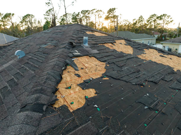 Best Roof Ventilation Installation  in Lakeport, CA